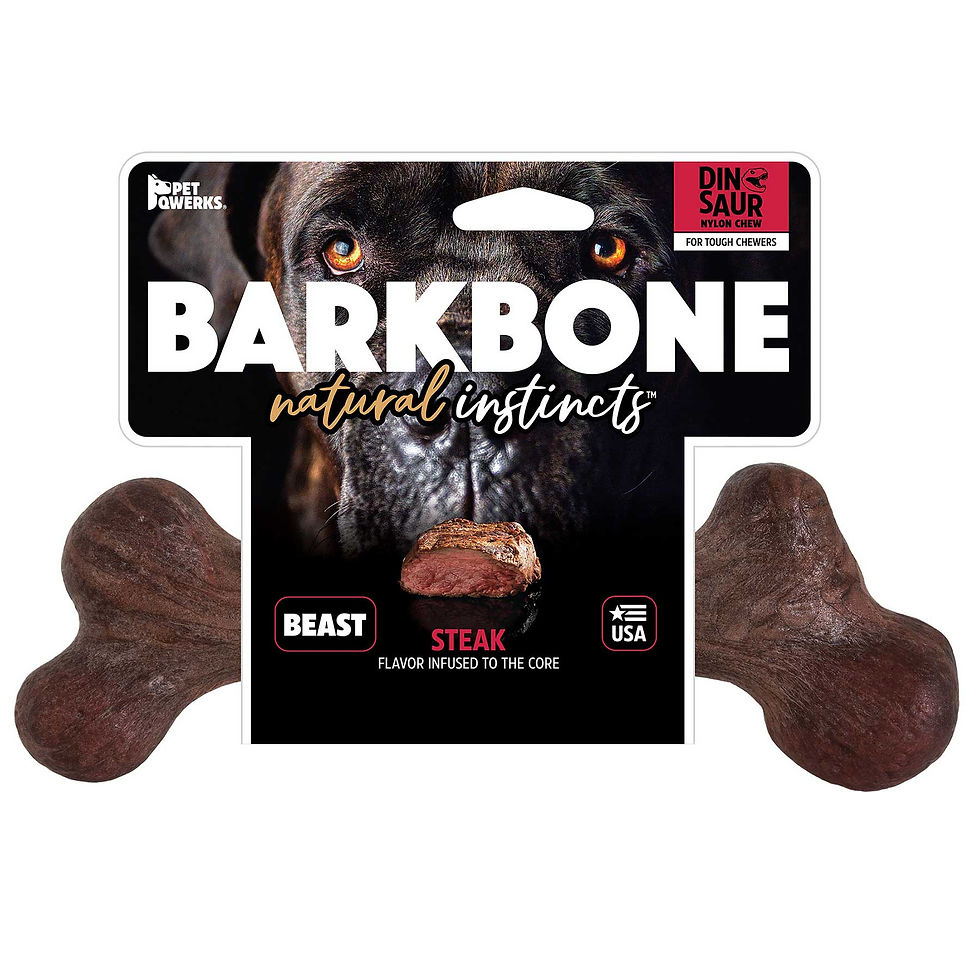 Pet Qwerks Dinosaur BarkBone