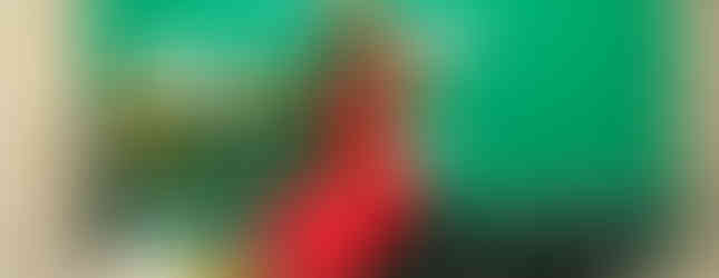 Fashion and Business Happy Hour attendee Bling Bling room.