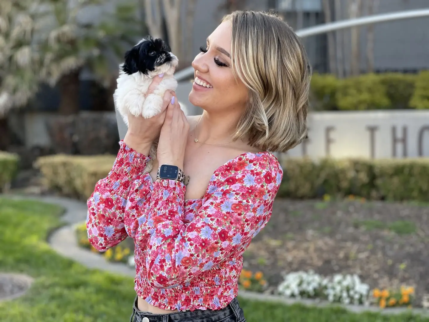 Tiny Jewel Pups Our Story.webp