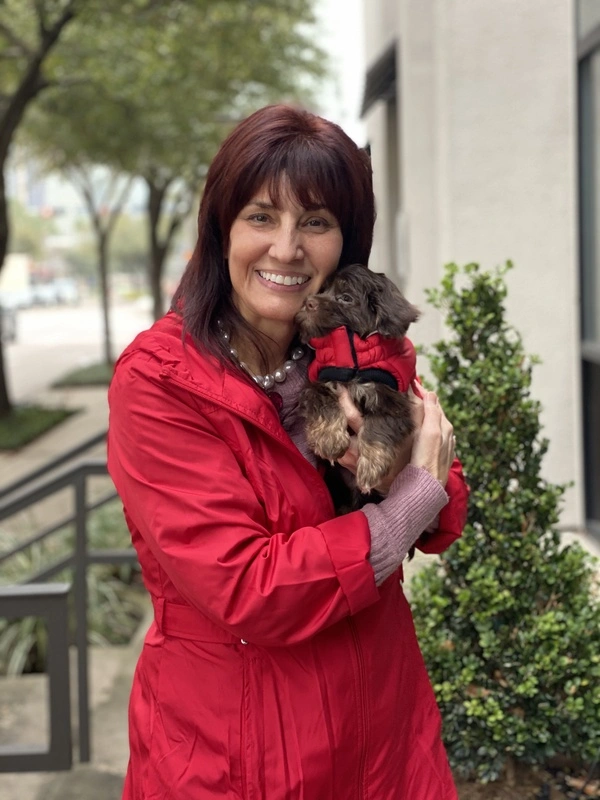 Wendy and Paris the Havanese Puppy. Tiny Jewel Pups