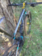 Giant Anthem Advanced 29er