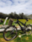 Liteville MK10 650b