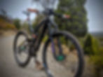 PORTRAIT_00100 - EDITED - small