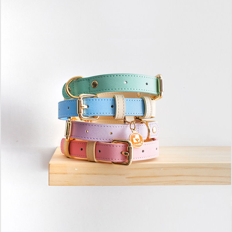 Color-Block Genuine Leather Pet Collar and Knitted Leash