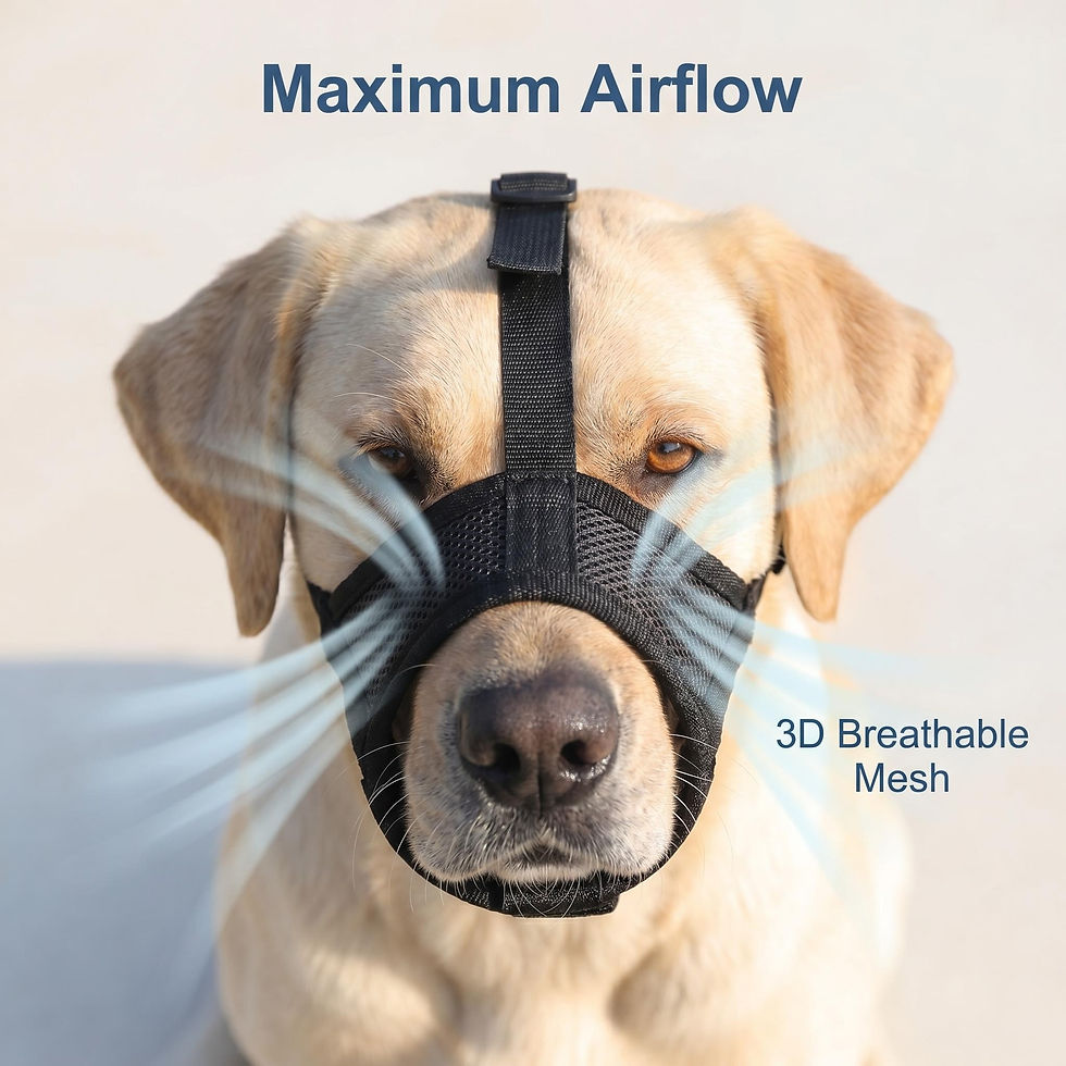 Thumbnail: Adjustable Mesh Dog Muzzle – Breathable Velcro Pet Muzzle