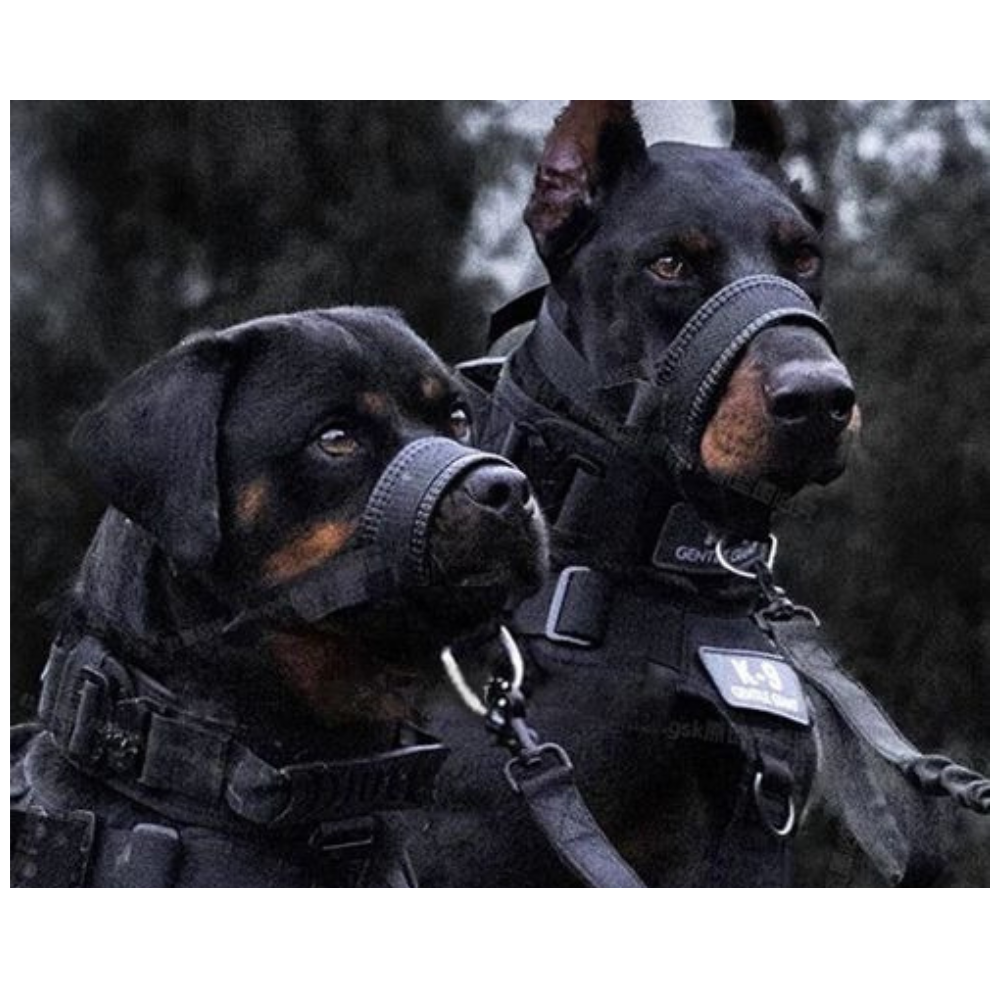 Tactical Muzzle for Medium to Large Dogs