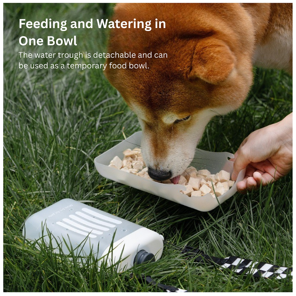 2-in-1 Portable Pet Water & Food Dispenser