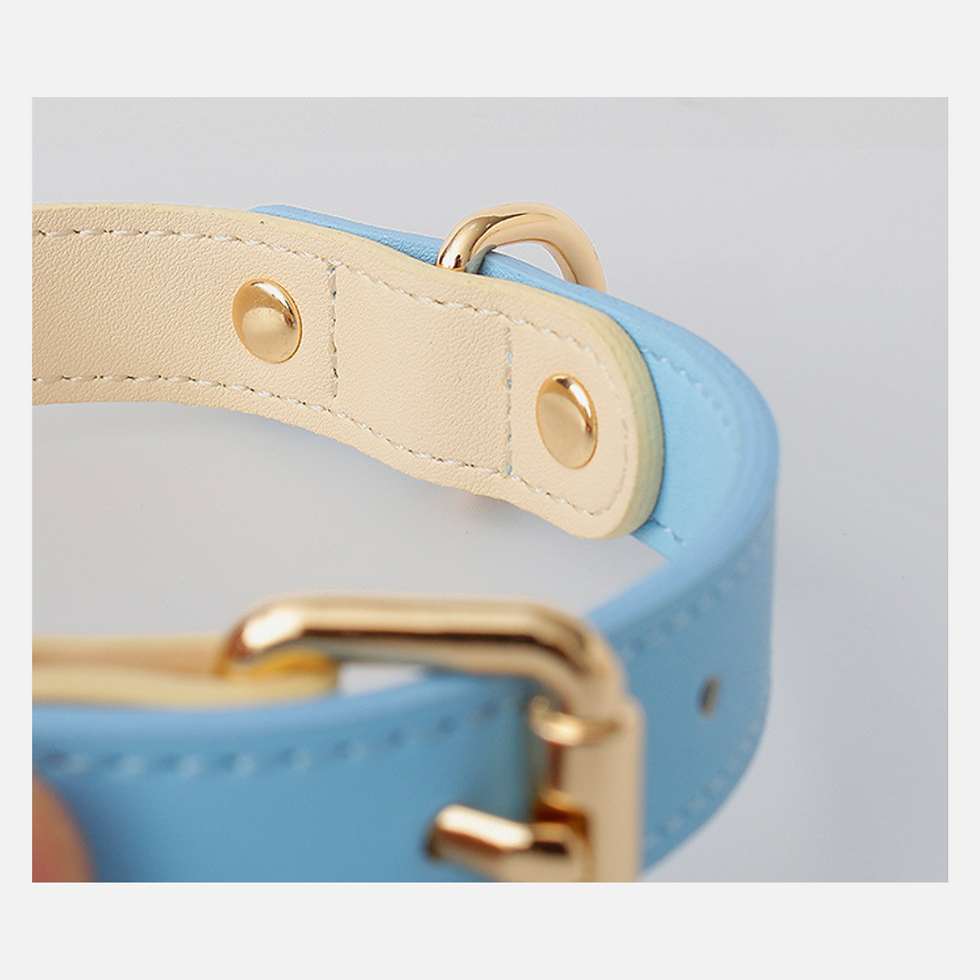 Thumbnail: Color Block Leather Pet Collar and Knitted Leash Set