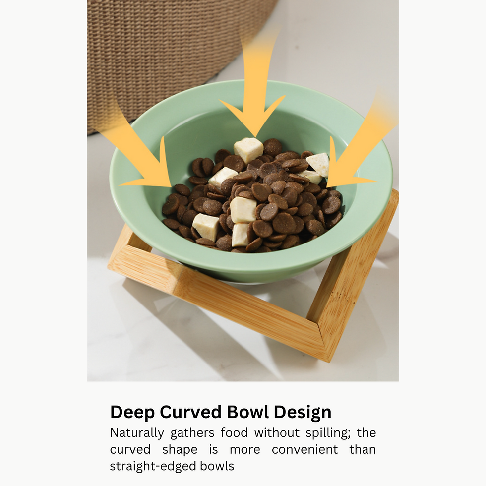 Thumbnail: Ceramic UFO Pet Bowl – Raised Feeding Bowl