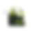 Thumbnail: Avocado Tumbler Chew Toy for Pets