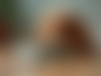 How to Choose the Best Items for Your Pet's Lifestyle