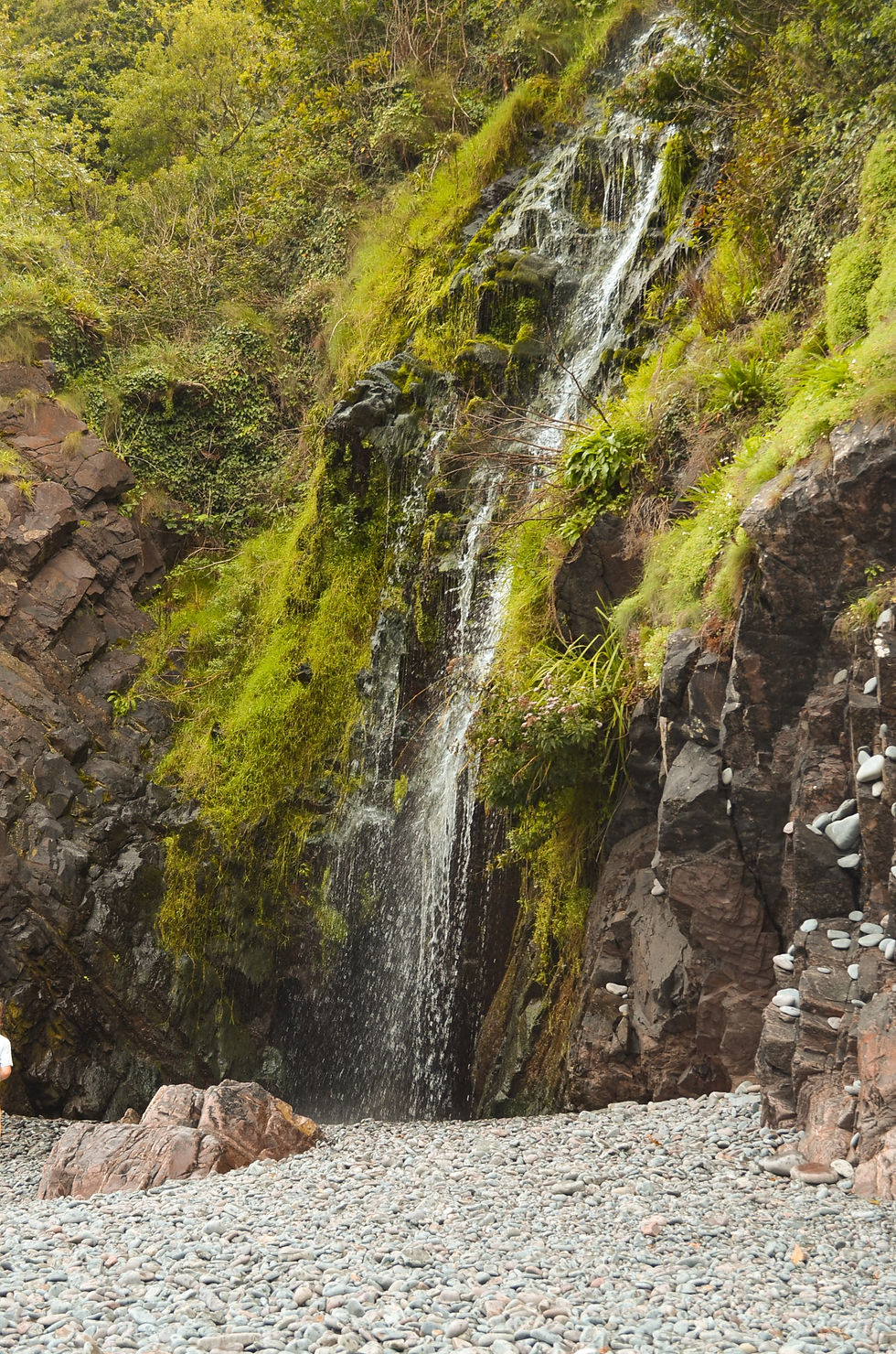 Clovelly Waterfall