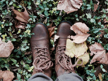 Preferência das consumidoras na escolha entre calçados de couro ou materiais substitutos