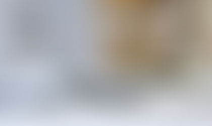 Calçados para proteção contra agentes térmicos