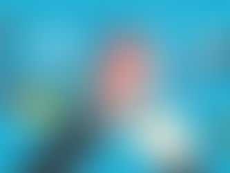 Lojas virtuais alcançam em 2020 quase 20 bilhões de acessos