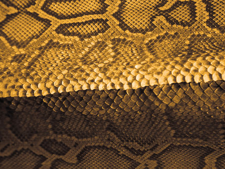 Temos uma moda genuinamente brasileira?