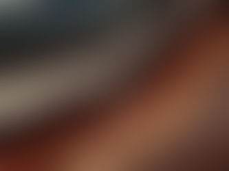 Sistemas direcionados ao curtimento do couro