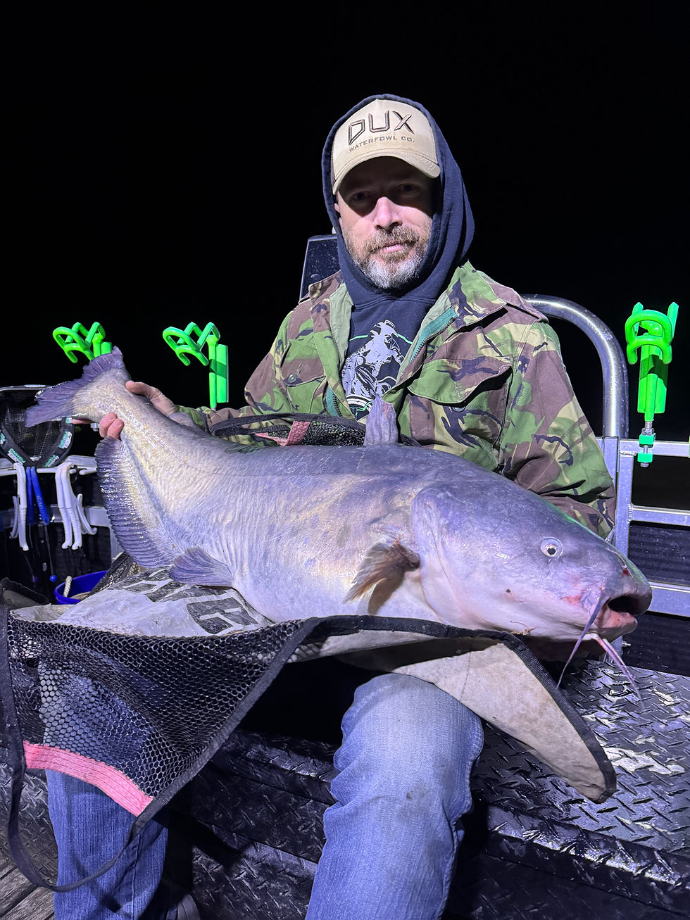 45 lb blue catfish caught on the James River with Goober Time Guide Service