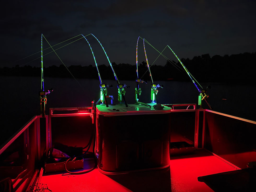 Fishing rods lit up at night on the James River
