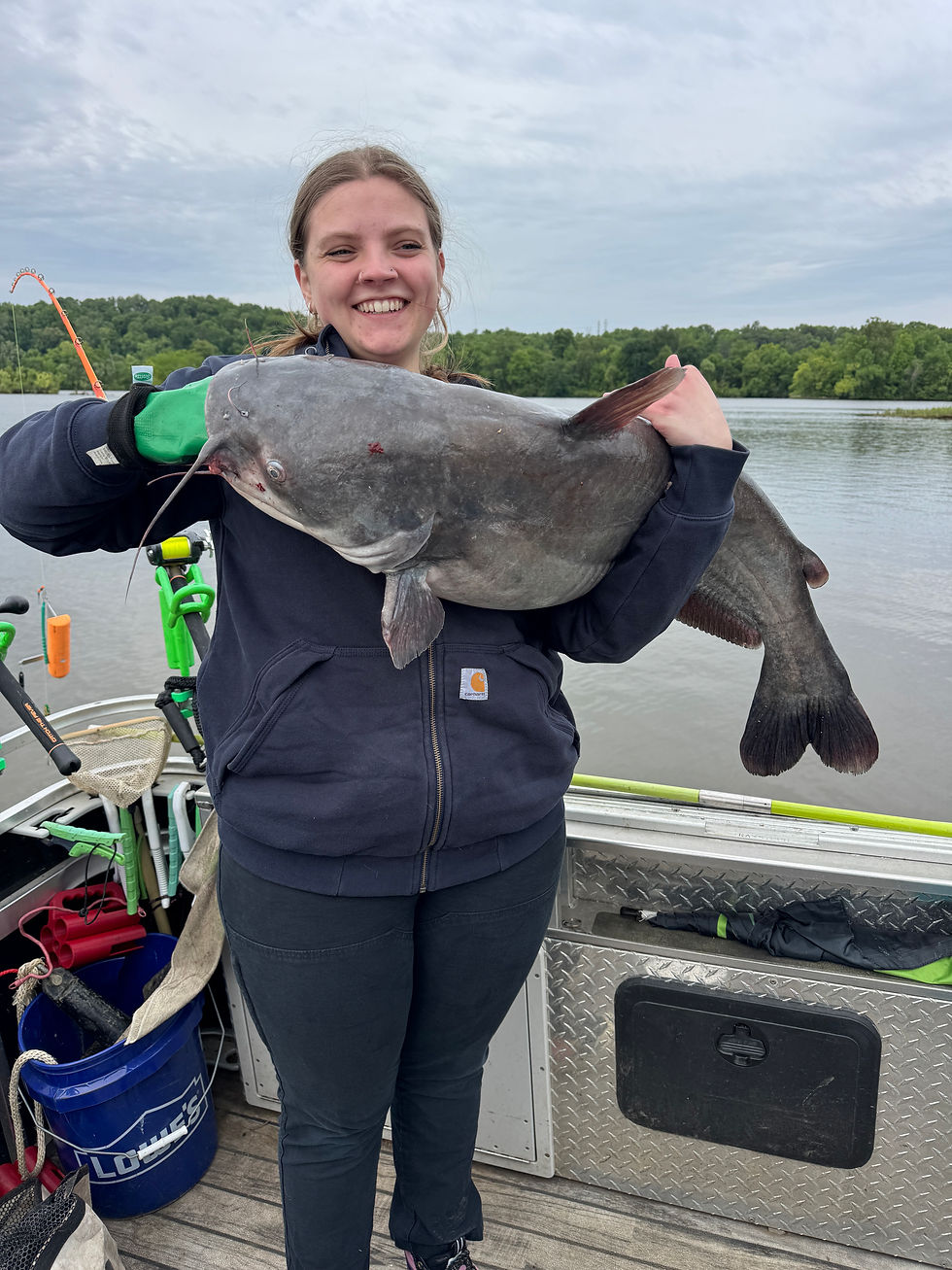 Angler holding a trophy blue catfish caught on the James River