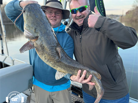 First big Flathead catfish of the year!