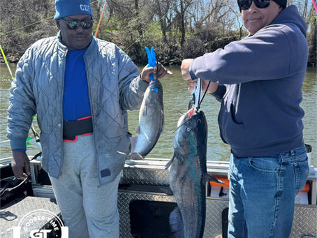 We filled the cooler with blue catfish