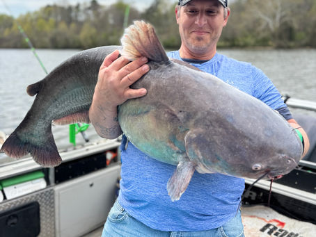 Trophy Flathead and Blue Catfish: A "Bucket List" Day on the James River