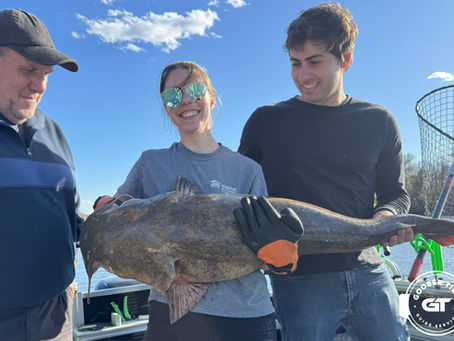 Giant flathead on a hickory shad head