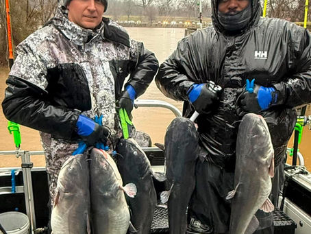 Non-Stop Catfish Action! Fishing Report 2025-2-15