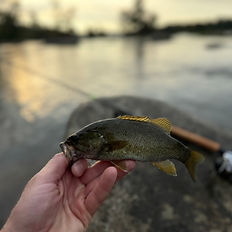 Angler wade fishing for smallmouth bass on the James River