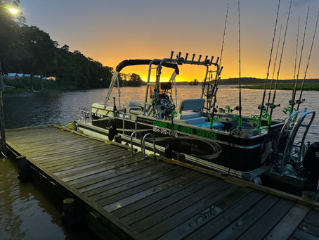 We Caught over 150 fish!!