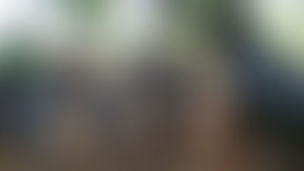 Oferta Laboral | Oficial de investigación e incidencia