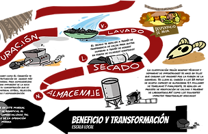 3 transformacion.png