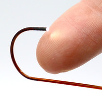 TheiaScope PI Image 3.JPG
