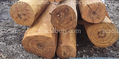 9m sanded poles (1) - Copie.jpeg