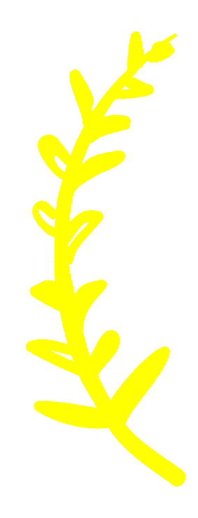 Lorbeer_gelb_links_2.gif