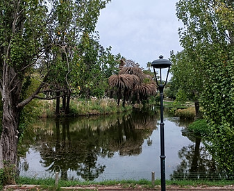 IMG_20260415_141643.jpg