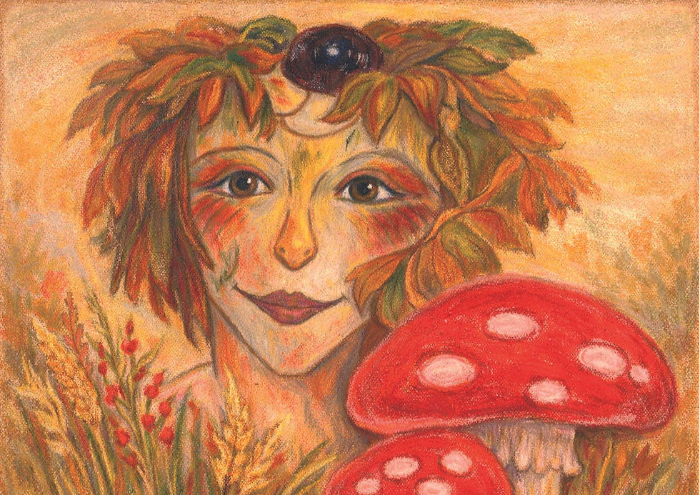 Miniaturbild: Lilli LIchtblatt
