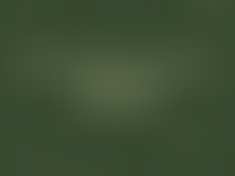 Die Monatsenergie Dezember