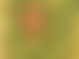 Die Tagesenergie: Erlaube dir, heute langsam zu sein. Nicht als Rückzug – sondern als Vorbereitung.Morgen wird klarer. Heute fließt Stille.