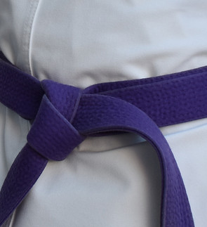 4th Kyu Purple cropped.jpg