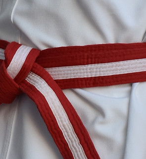 10th Kyu Red and White cropped.jpg