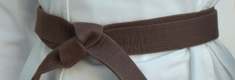 3rd Kyu Brown cropped.jpg