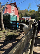 IMG_8873.jpg