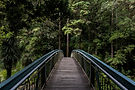 Bridge.jpg