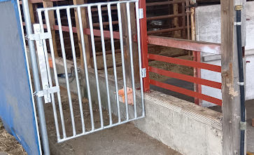 子牛、逃亡防止柵