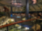 Palisade Restaurant