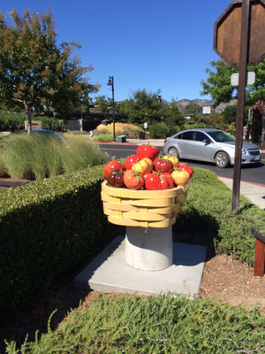 More Outdoor Dining in Napa