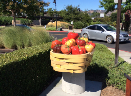 More Outdoor Dining in Napa