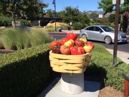 More Outdoor Dining in Napa